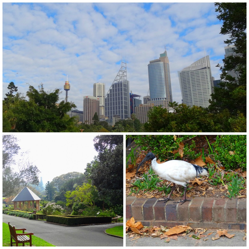 Collage Royal Botanic Gardens Sydney © Vie d'Expat Collage Royal Botanic Gardens Sydney