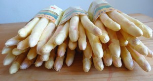 Asperges